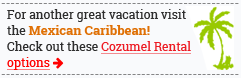 Cozumel Rental Options