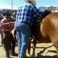 weight_policies_img3