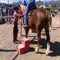 weight_policies_img4