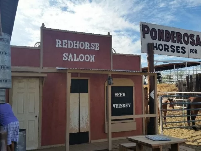 arizona-horses-home-footer-bottom4